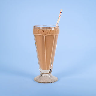 Celebrate® ReBuild Protein + Probiotic, pulbere