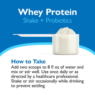 Celebrate® ReBuild Protein + Probiotic, pulbere